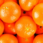 Nature and performance